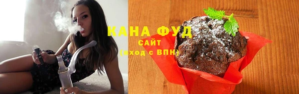 гидра Богородск