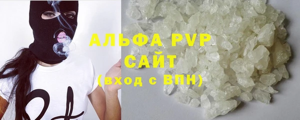 гидра Богородск