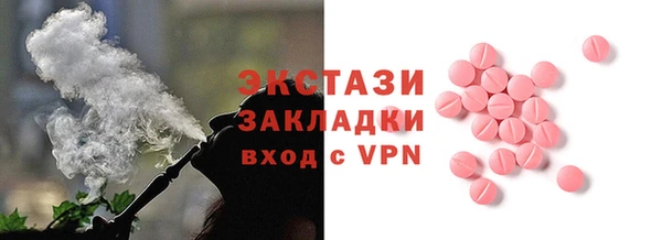 гидра Богородск