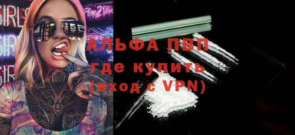 гидра Богородск