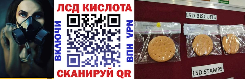 Наркотические марки 1,5мг  Купить  Кедровый 