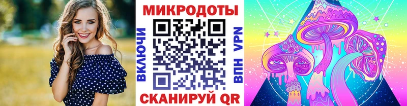 Псилоцибиновые грибы мицелий  Купить закладки  Кедровый 